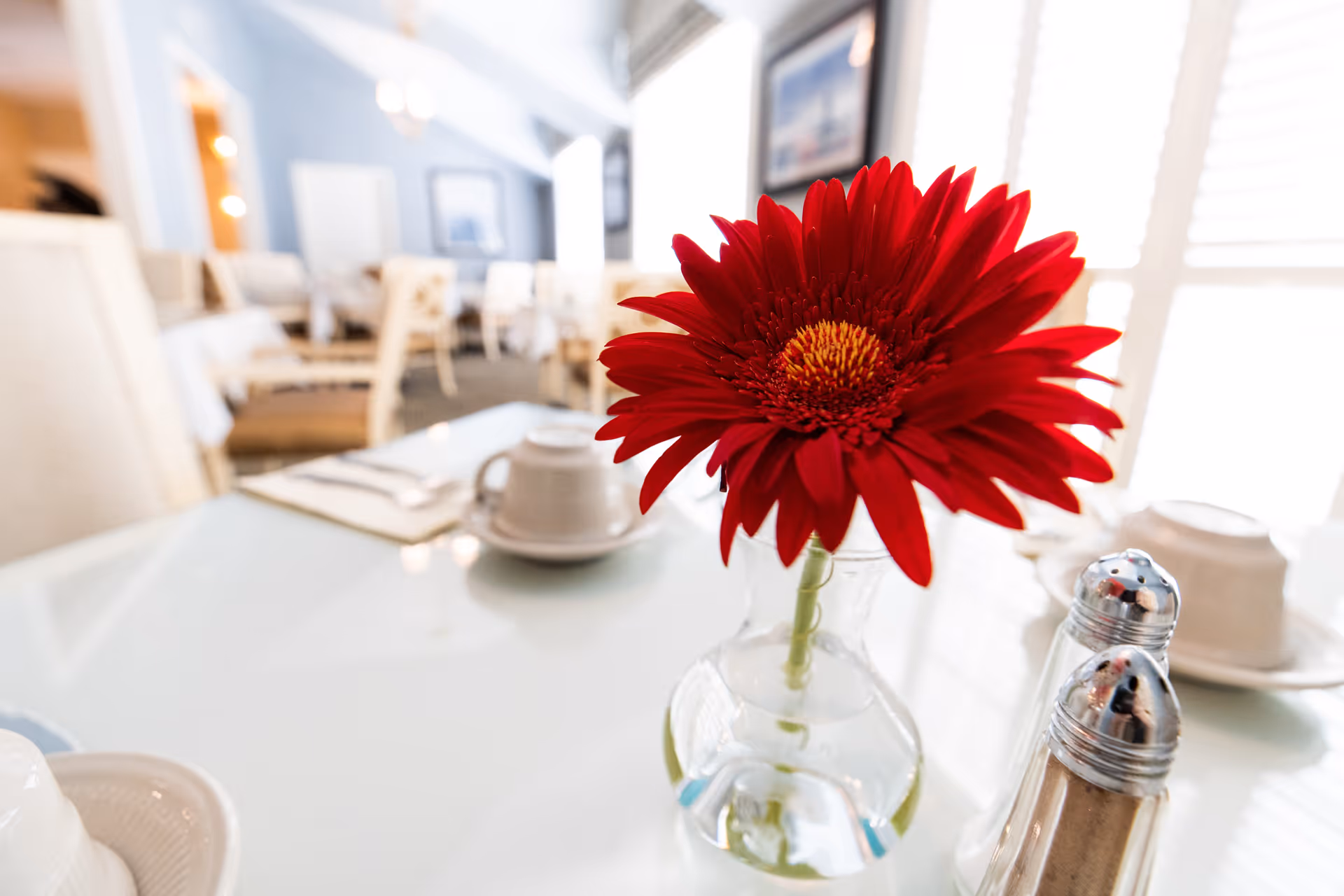 Close-up of a red flower in a glass vase on a dining table set with cups, saucers, and salt and pepper shakers in a bright dining room with chairs and tables in the background.