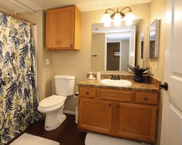 Bathroom with a white toilet, wooden cabinet above it, a sink with a granite countertop and wooden vanity, a large mirror with three light fixtures above it, and a shower with a curtain featuring a leafy pattern.