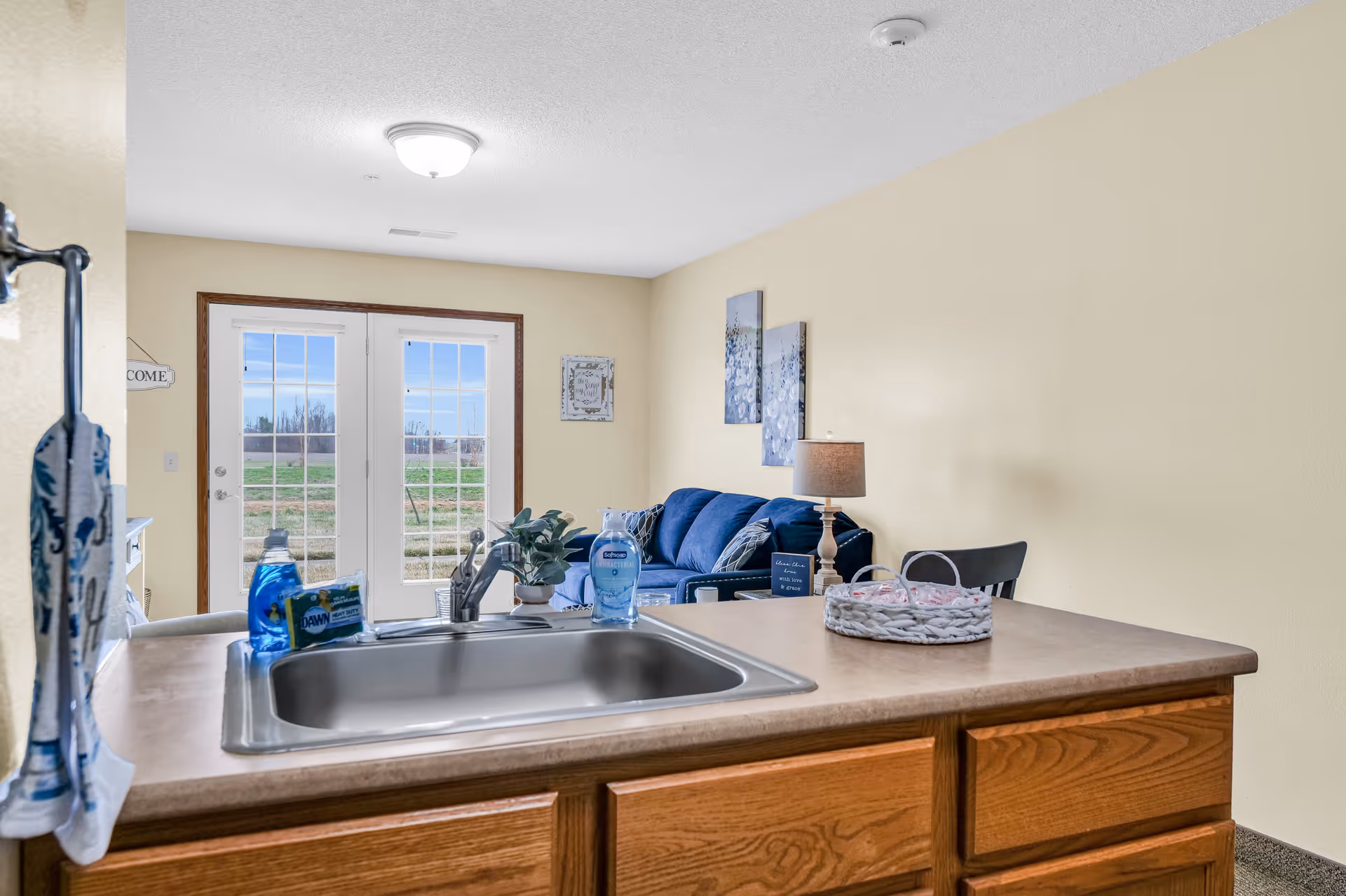 View of a kitchen sink and countertop with dish soap and a plant, looking out into a living room area with a blue couch, a lamp, wall art, and double glass doors leading outside.
