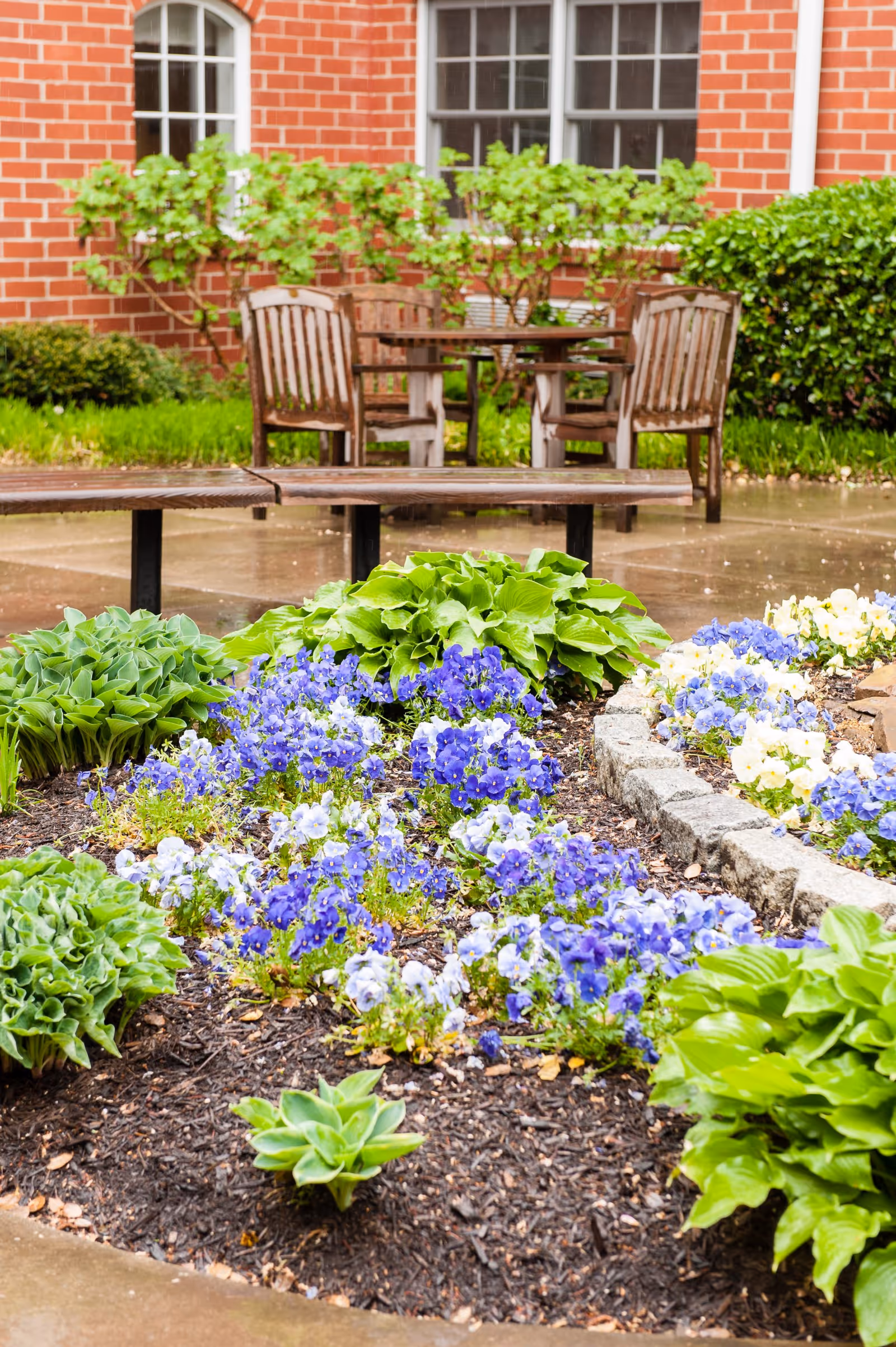 Outdoor garden area with blooming purple and white flowers, green leafy plants, wooden benches, and a wooden table with chairs in front of a red brick building with windows.