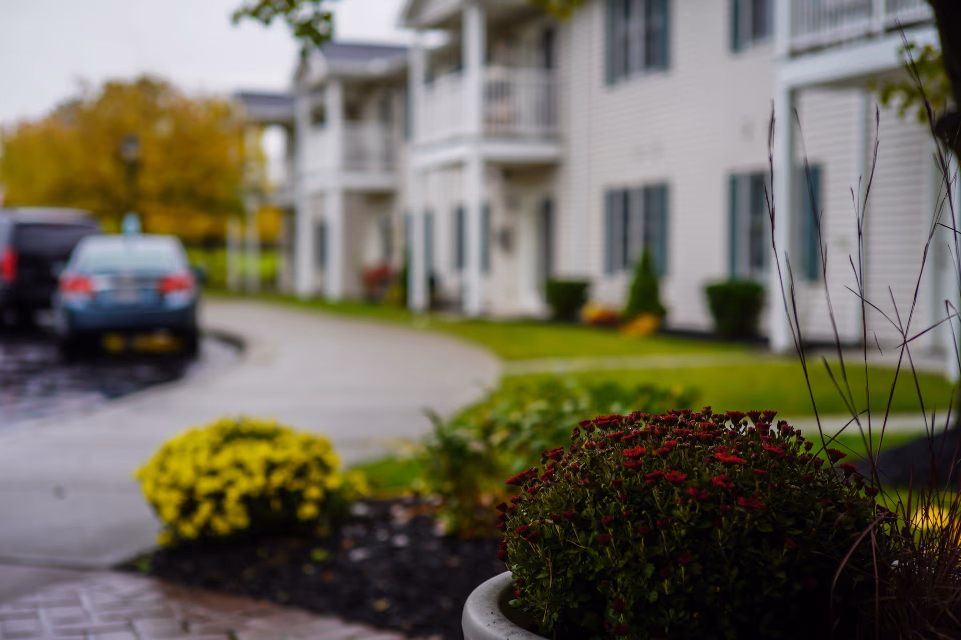 Outdoor view of a senior living facility showing a curved driveway with parked cars, white multi-story buildings with balconies, and landscaped areas with green grass and flower bushes in the foreground.