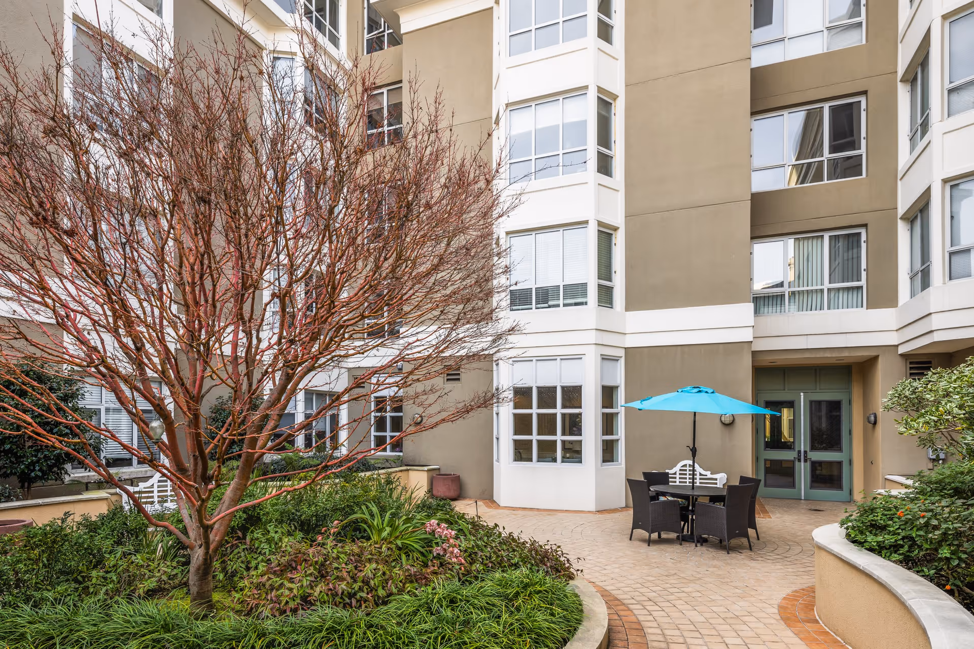 Outdoor courtyard area of a senior living facility with a leafless tree surrounded by green plants and shrubs. There is a round table with four chairs and a blue umbrella near the building entrance, which has large windows and double doors.