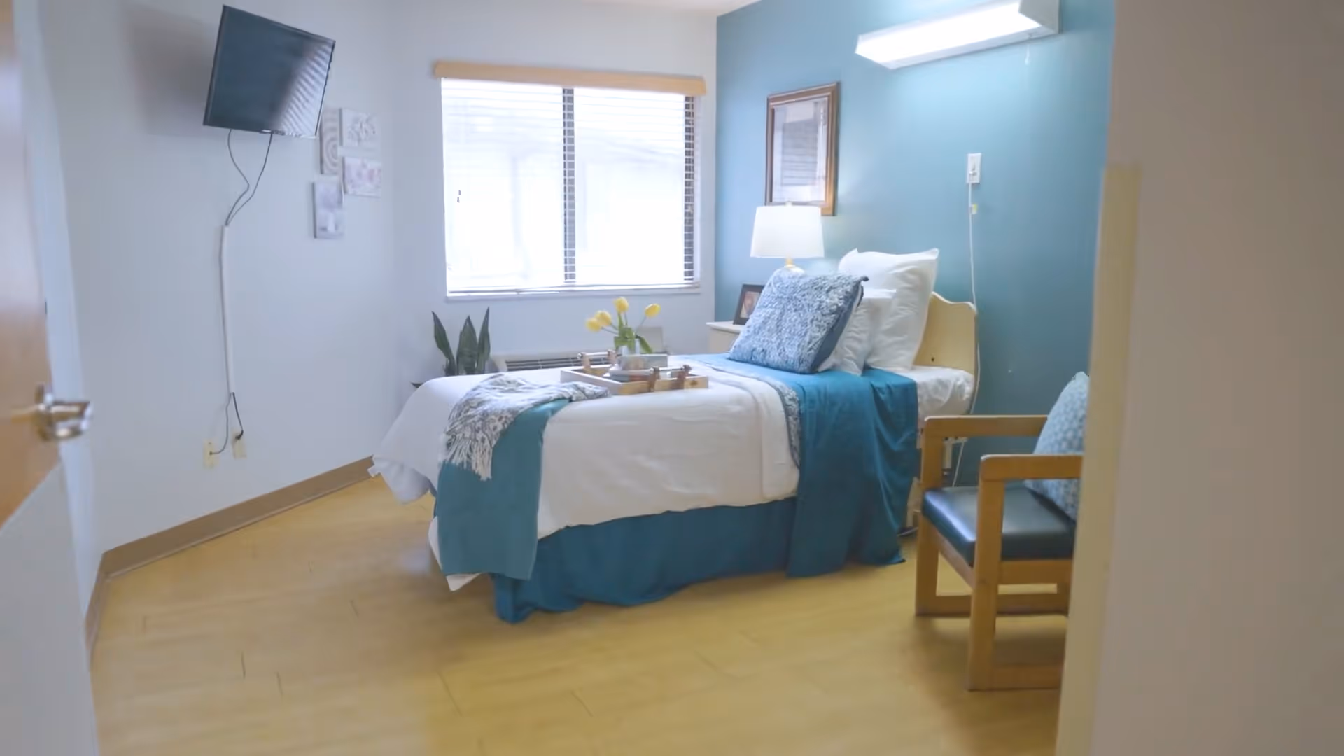 A bright and clean nursing home bedroom with a single bed made up with white and blue bedding, a wooden chair with a blue cushion, a window with blinds, a wall-mounted TV, a bedside table with a lamp and framed picture, and a small plant near the window.
