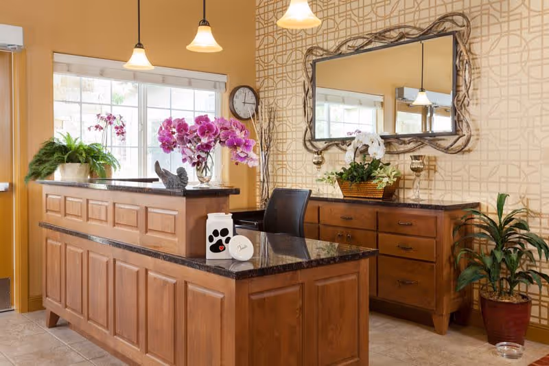 Reception area with a wooden desk featuring a black granite countertop, decorated with potted plants and purple orchids. Behind the desk is a large mirror with a decorative frame, a wooden cabinet with drawers, and a wall clock. The walls have a beige patterned wallpaper and the area is lit by hanging pendant lights.