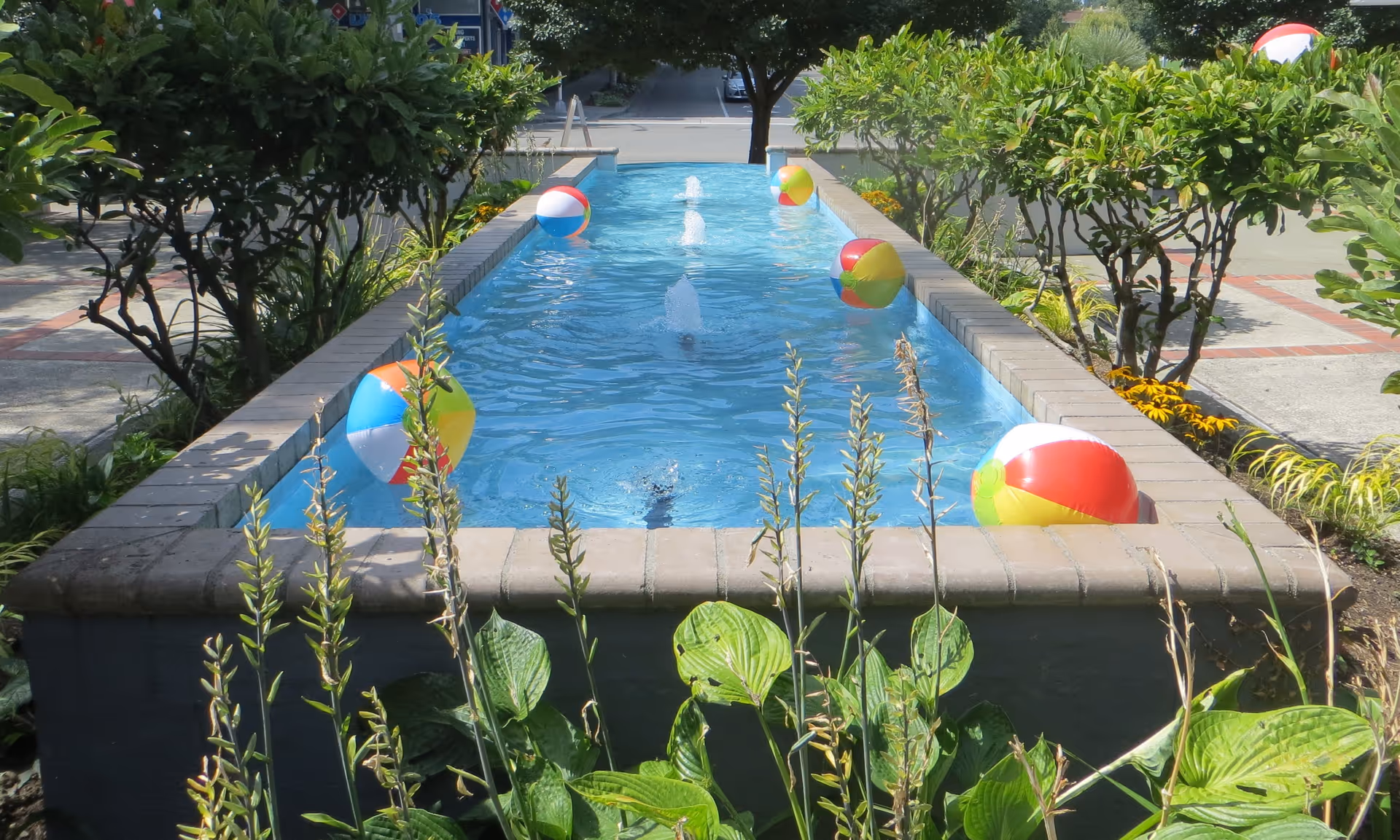 A rectangular outdoor water fountain with three small water jets, surrounded by green bushes and plants. Several colorful beach balls float on the water surface. A tree and a parking lot are visible in the background.