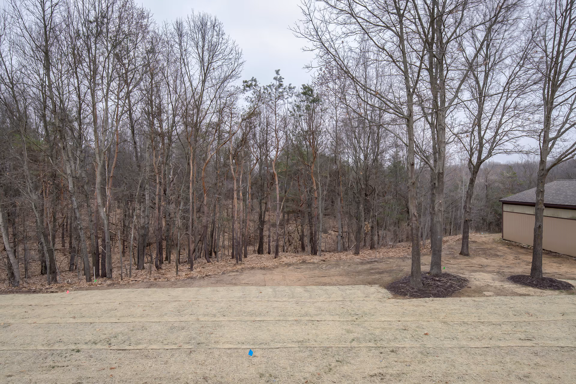 A wooded outdoor area with leafless trees and a patch of dry grass in the foreground. To the right, there is a beige building with a brown roof partially visible. The sky is overcast.
