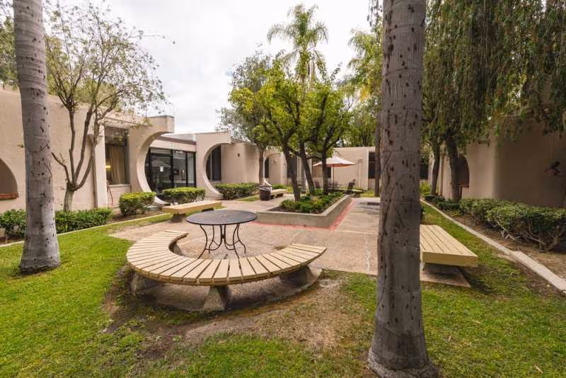 Outdoor courtyard with curved wooden benches, brick pathways, and trees surrounding a modern building.