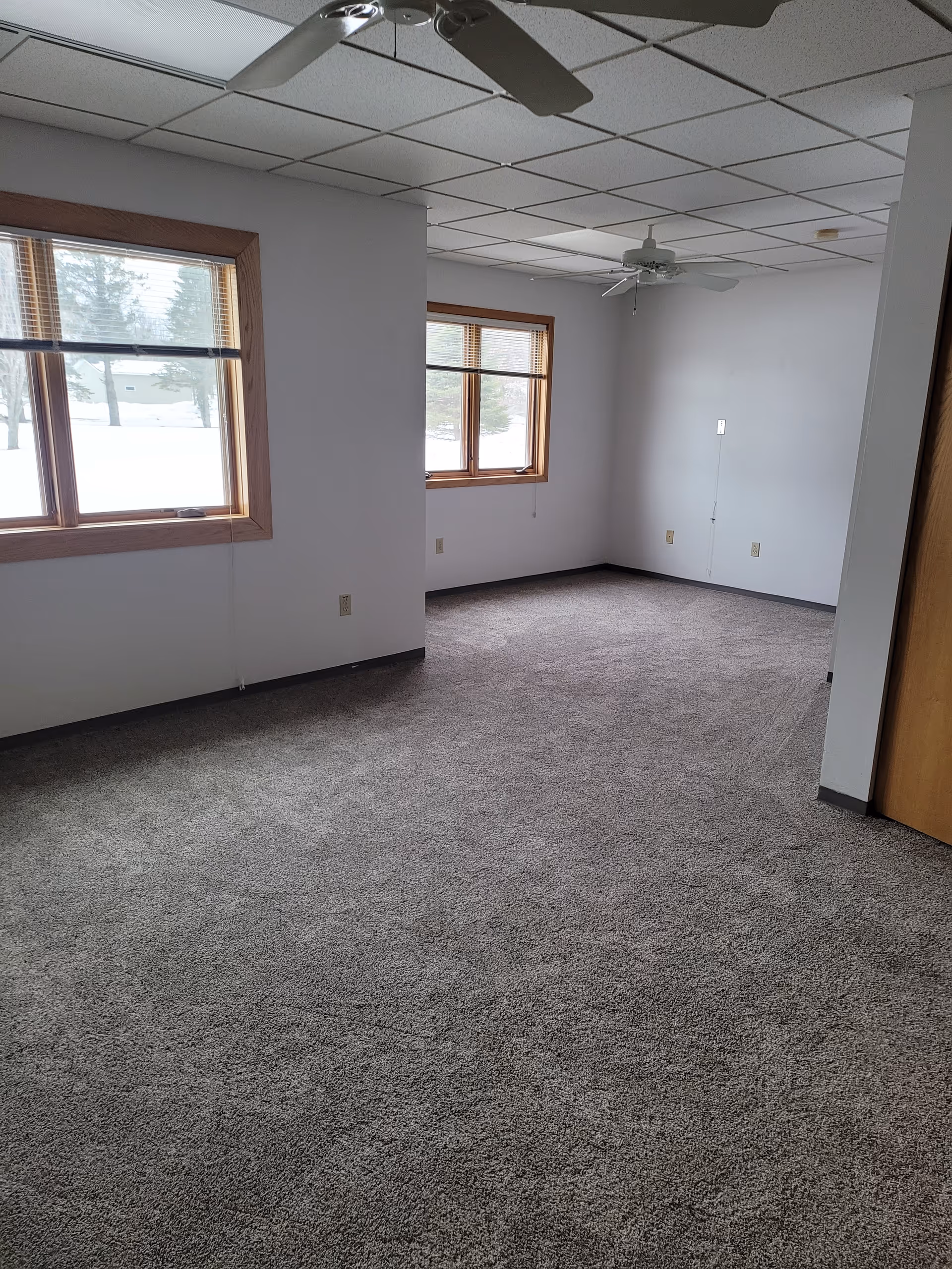 Empty room with gray carpet, white walls, two windows with wooden frames, and two ceiling fans. The room has a drop ceiling with white tiles and a wooden door partially visible on the right side.