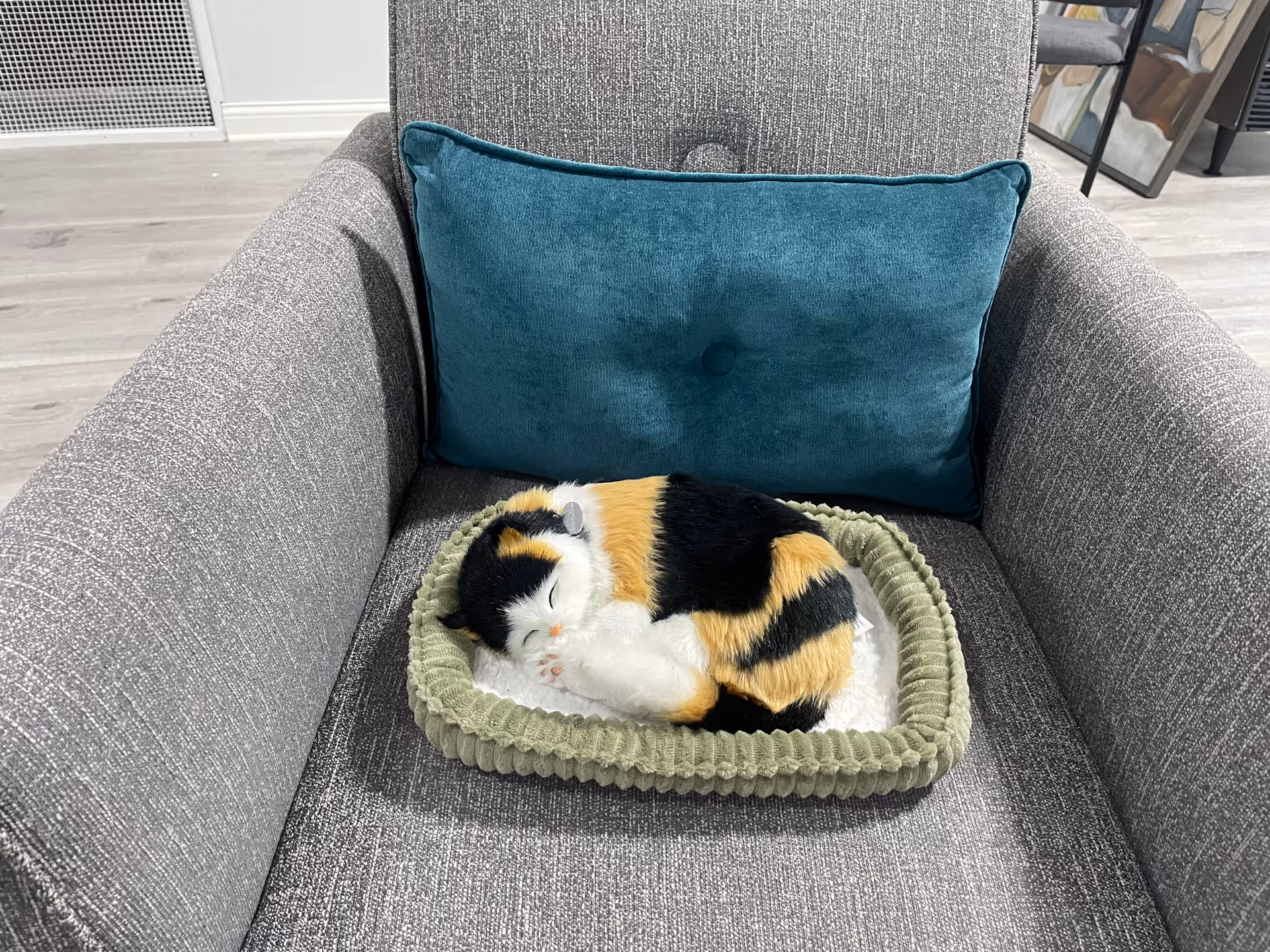 Gray upholstered armchair with a teal pillow and a calico cat curled in a small green pet bed on the seat.
