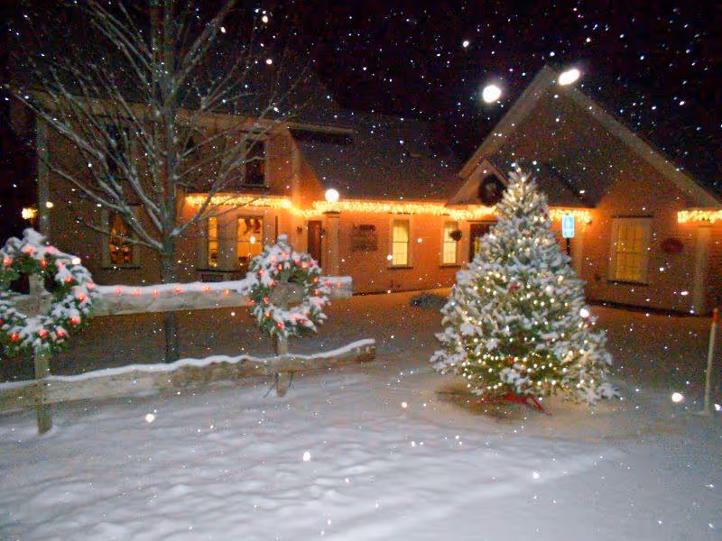 Snow-covered outdoor scene at night with a decorated and lit Christmas tree, two wreaths with red bows hanging on a wooden fence, and a building in the background adorned with string lights.