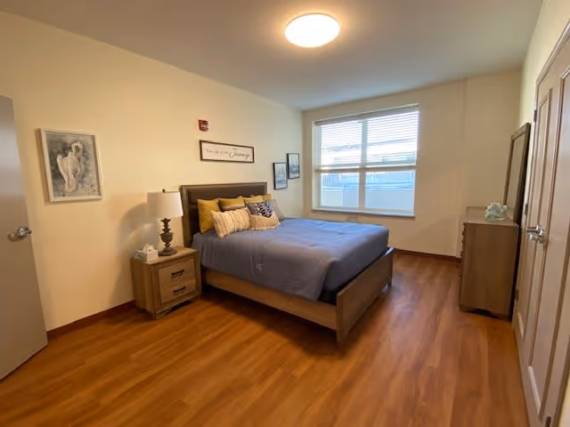 A bedroom with a wooden floor, a bed with a blue comforter and multiple pillows, a wooden nightstand with a lamp and tissues, a window with blinds, framed artwork on the walls, and a wooden dresser with a mirror.