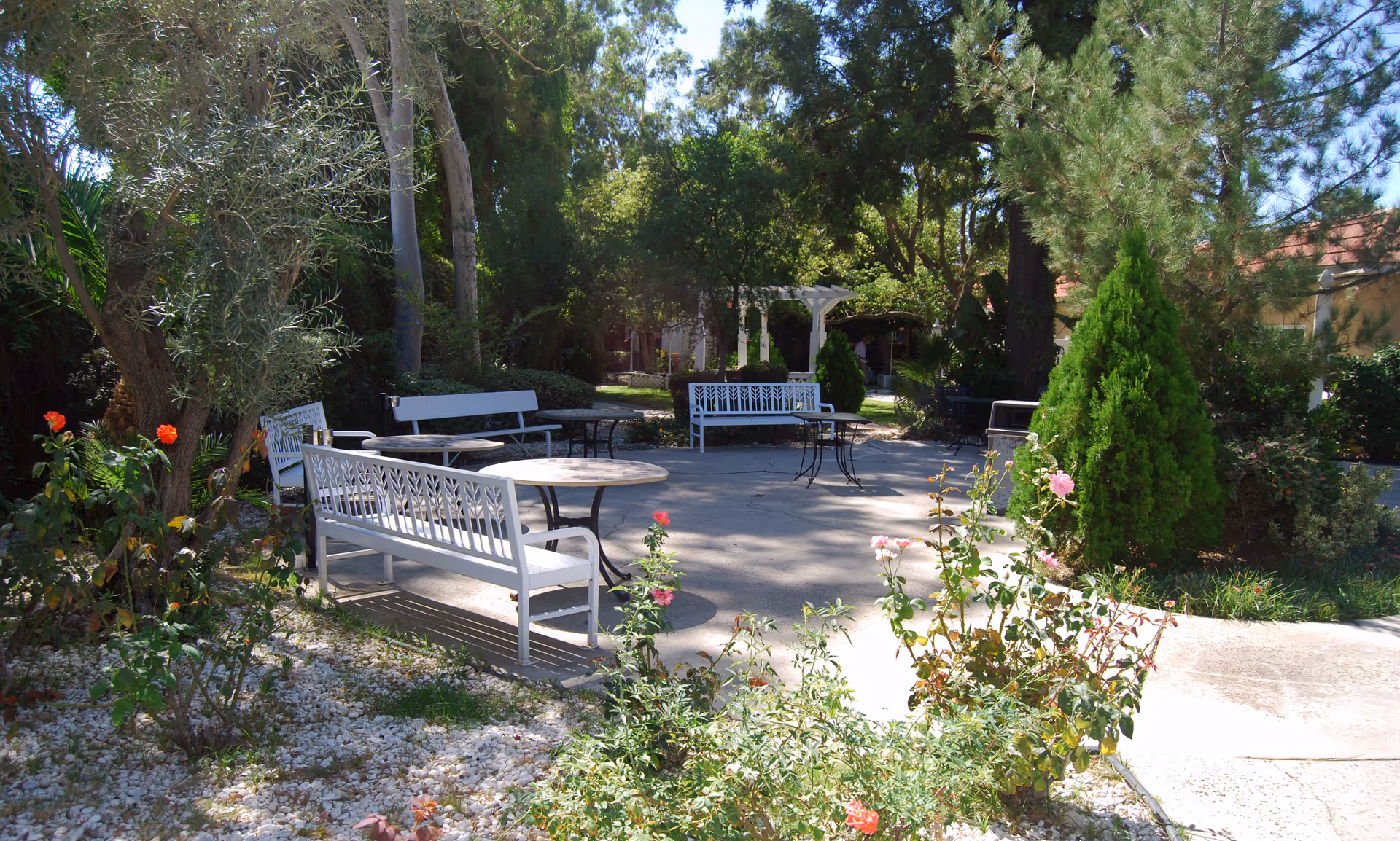 Outdoor garden area with white benches and round tables surrounded by trees, bushes, and flowering plants under bright sunlight.