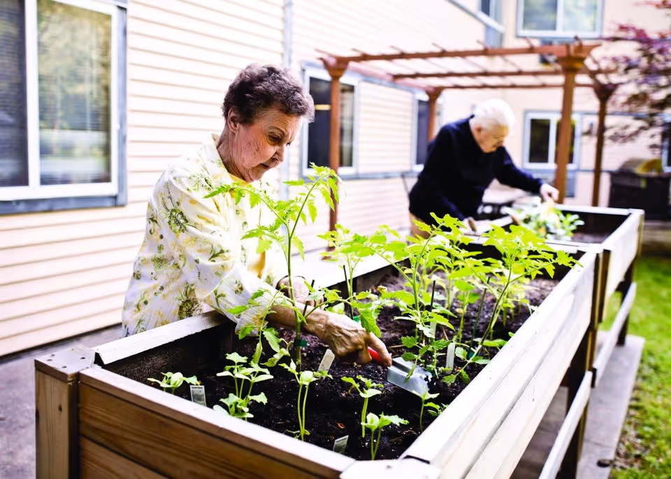 Two elderly women gardening in raised wooden garden beds outside a residential building, tending to young green plants under a pergola.