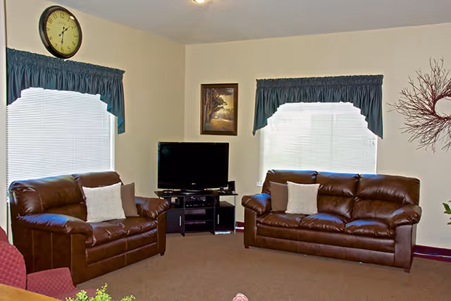 A living room with two brown leather sofas each with a white pillow, a flat-screen TV on a black stand between two windows with blue valances, a wall clock above the left window, and a framed picture on the wall between the windows.