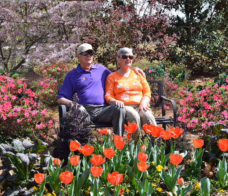 An elderly couple sitting on a bench in a garden surrounded by blooming red tulips, pink flowers, and various green plants. The man is wearing a purple shirt, gray pants, a beige cap, and sunglasses. The woman is wearing an orange sweater with floral patterns, beige pants, and sunglasses. They are enjoying the sunny day together.