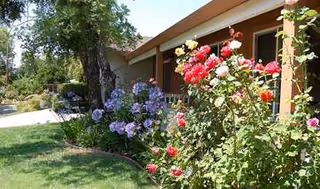 A single-story Belrose Care Home exterior with colorful blooming rose bushes along the walkway.