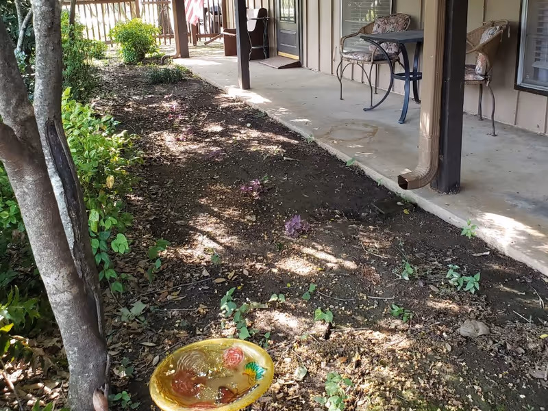 Outdoor patio area with a concrete walkway and a garden bed alongside it. There are two cushioned chairs and a small table on the patio, with a downspout attached to a post. A yellow birdbath with water and decorative elements is visible in the garden bed. Trees and bushes surround the area, and sunlight filters through the foliage.