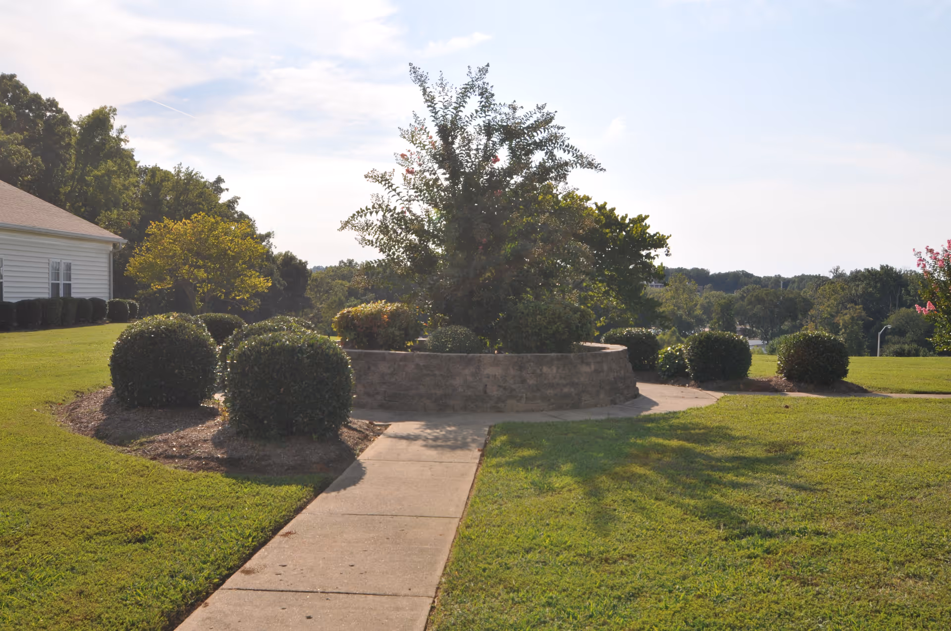 Manicured lawn and sidewalk leading to a circular raised planting bed with shrubs and a tree beside a single-story building.