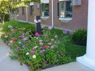 Exterior view of AHEPA 250 Apartments with flowering garden bed along the walkway.