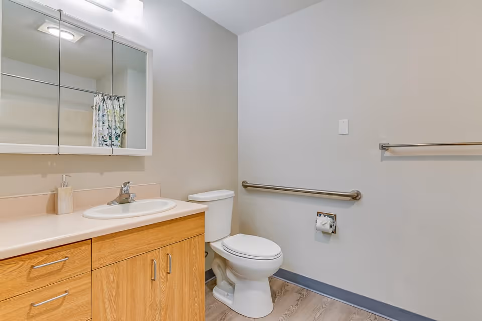A clean bathroom with a wooden vanity featuring a sink and faucet, a large mirror above the sink, a white toilet next to the vanity, a metal grab bar on the wall beside the toilet, and a towel rack on the adjacent wall. The floor has a wood-like finish and the walls are painted light gray.