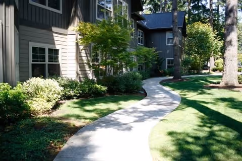A curved concrete pathway leading alongside a residential building surrounded by green grass, bushes, and tall trees under a sunny sky.