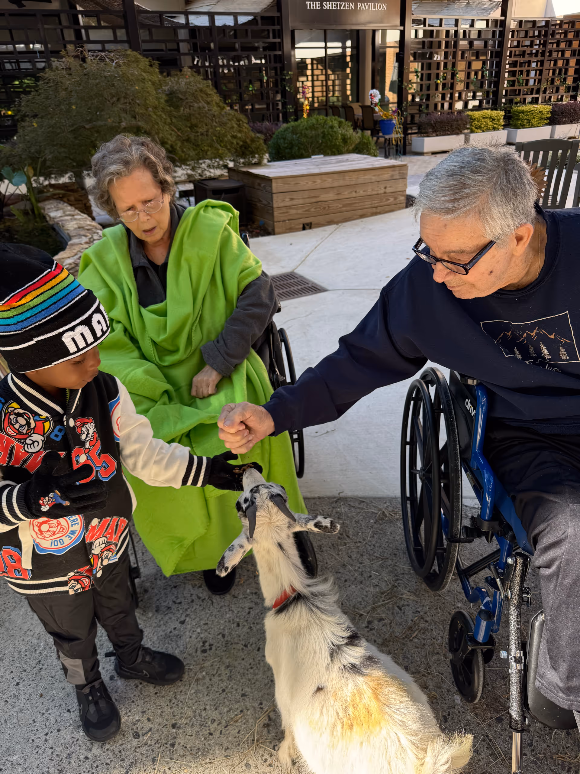 An elderly woman in a wheelchair covered with a green blanket and an elderly man in a wheelchair fist bumping a young boy wearing a colorful jacket and hat. A small goat is standing between them, interacting with the boy. They are outside near a building with a sign that reads 'The Shetzen Pavilion'.