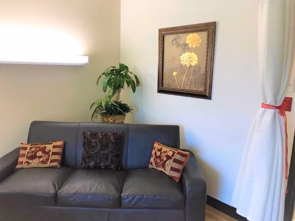 A small seating area with a dark gray leather couch adorned with three decorative pillows. Behind the couch is a potted plant and a framed floral artwork on a white wall. To the right, a white curtain tied back with a red ribbon is visible.