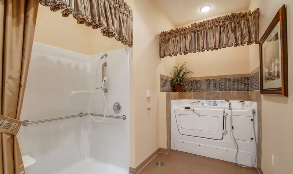 A senior-friendly bathroom featuring a walk-in shower with grab bars and a handheld showerhead, alongside a walk-in bathtub with safety handles and a handheld shower wand. The room has beige walls, a tiled backsplash behind the bathtub, a potted plant on the ledge, a framed picture on the wall, and decorative curtains above the shower and bathtub.