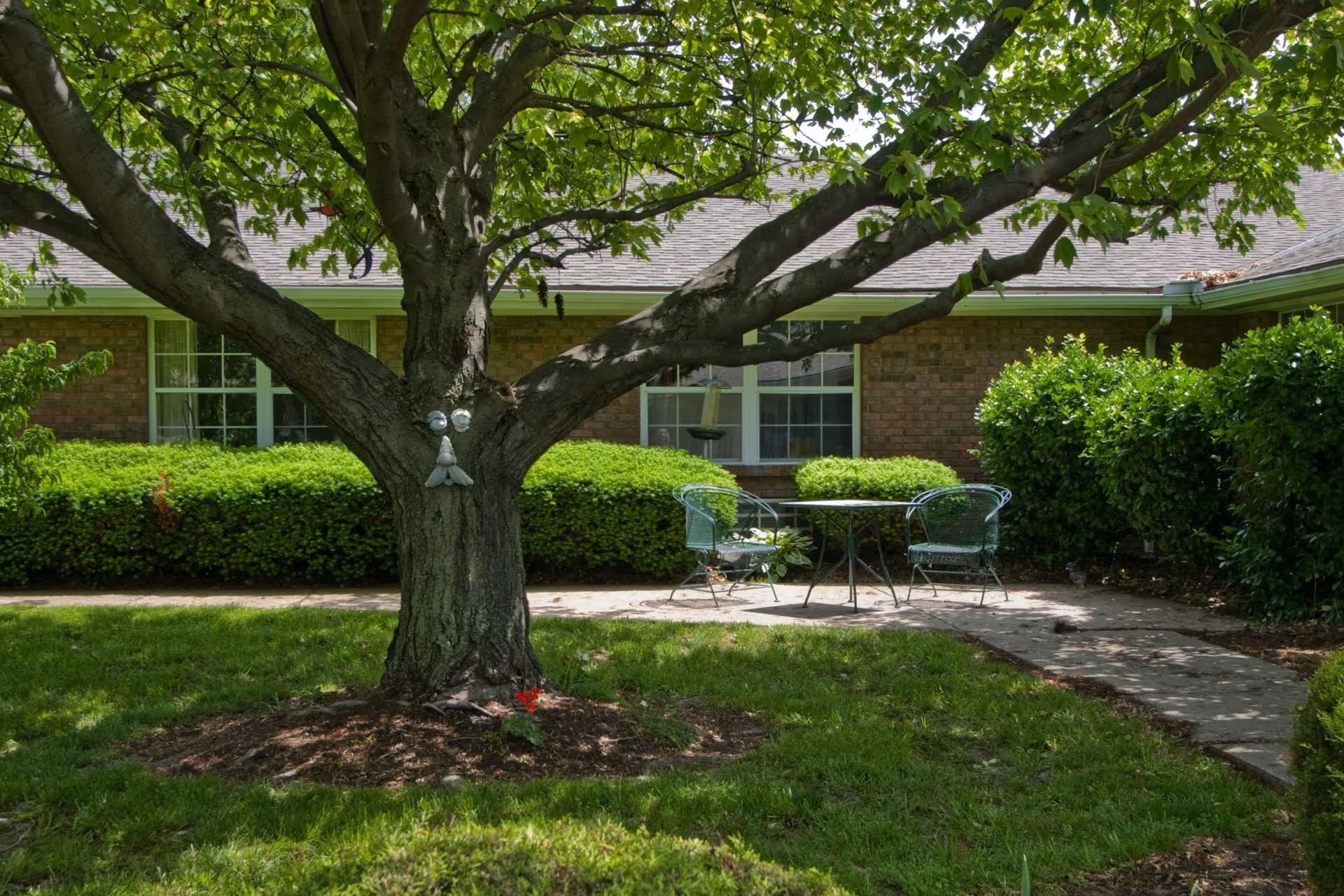 Shaded outdoor courtyard with a large decorated tree and a metal patio table and chairs in front of a brick building.