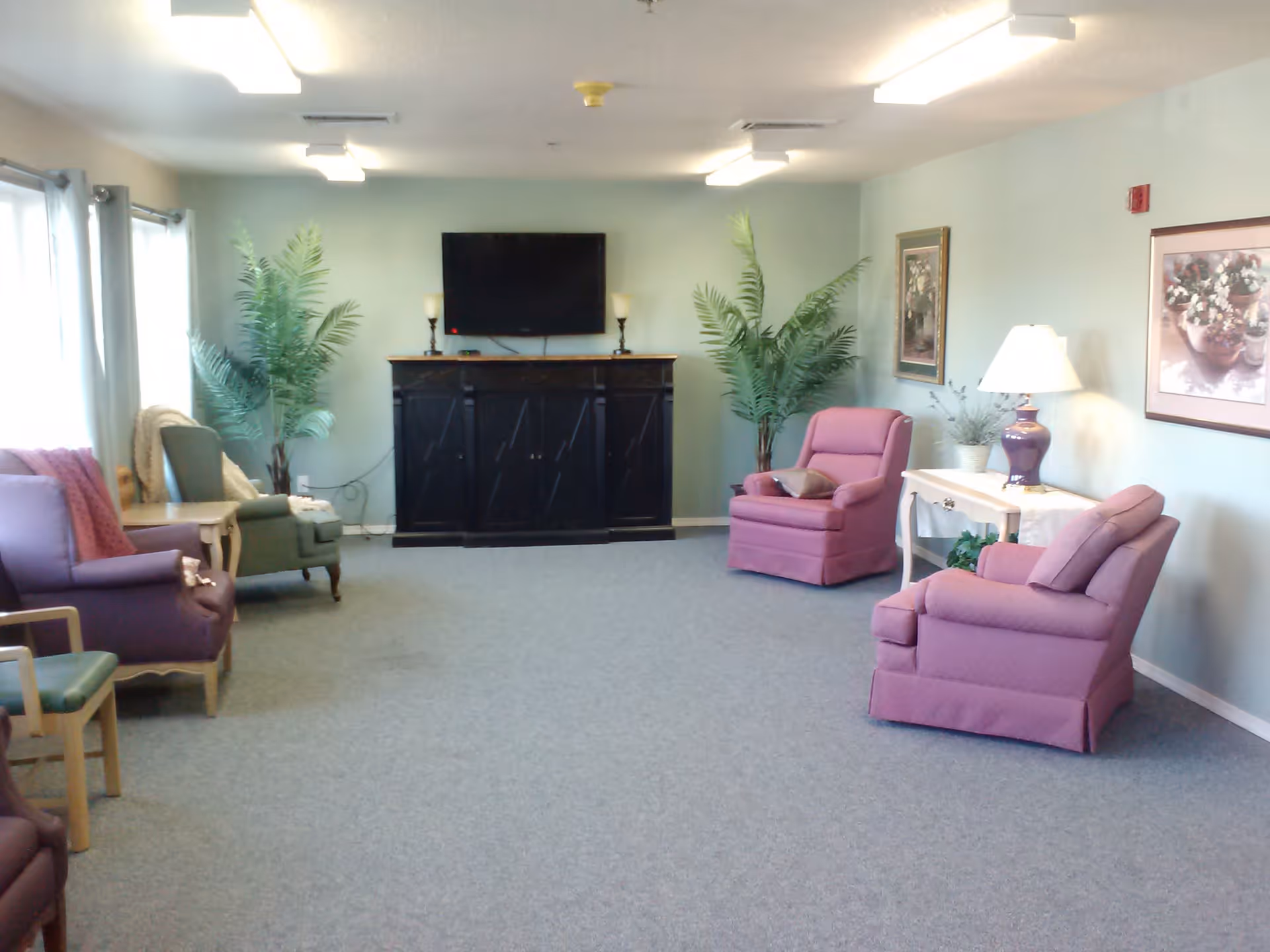 A spacious living room with several upholstered armchairs in purple and green, a flat-screen TV mounted on a black cabinet, two large potted plants, framed artwork on the walls, a side table with a lamp, and large windows with curtains letting in natural light.