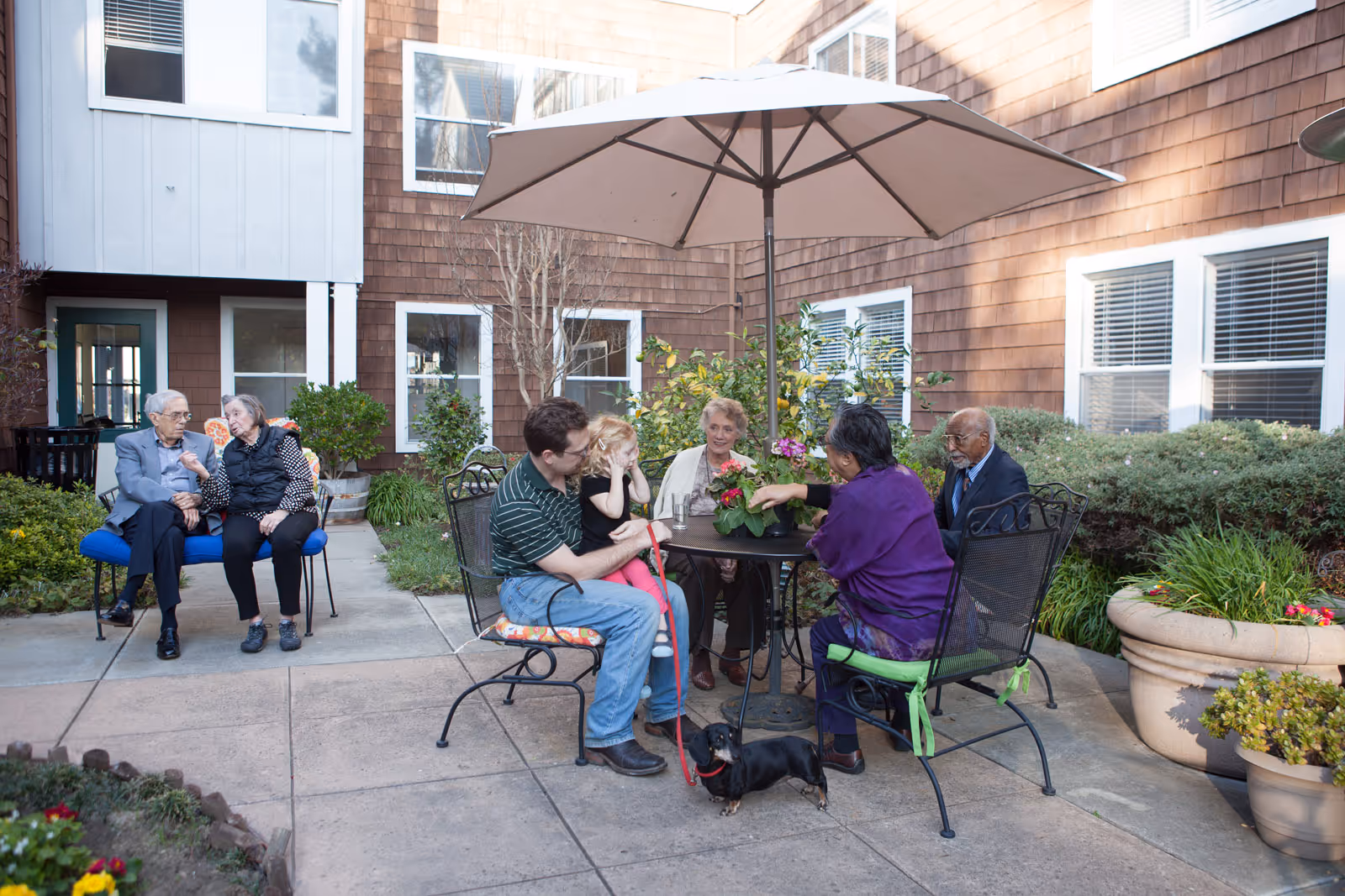 A group of elderly people and a man with a young girl sitting around a round table with a large umbrella in an outdoor courtyard area of a senior living facility. There is a small black dog on a leash near the man and girl. The courtyard is surrounded by a building with brown siding and white-trimmed windows, with plants and shrubs around the paved area.