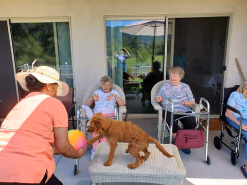 An outdoor patio scene at an elderly care facility where a woman wearing a wide-brimmed hat and peach-colored shirt is playing with a small brown dog on a wicker table. Three elderly women are seated nearby, two in chairs and one in a wheelchair, watching the interaction. Sliding glass doors and a patio umbrella are visible in the background.