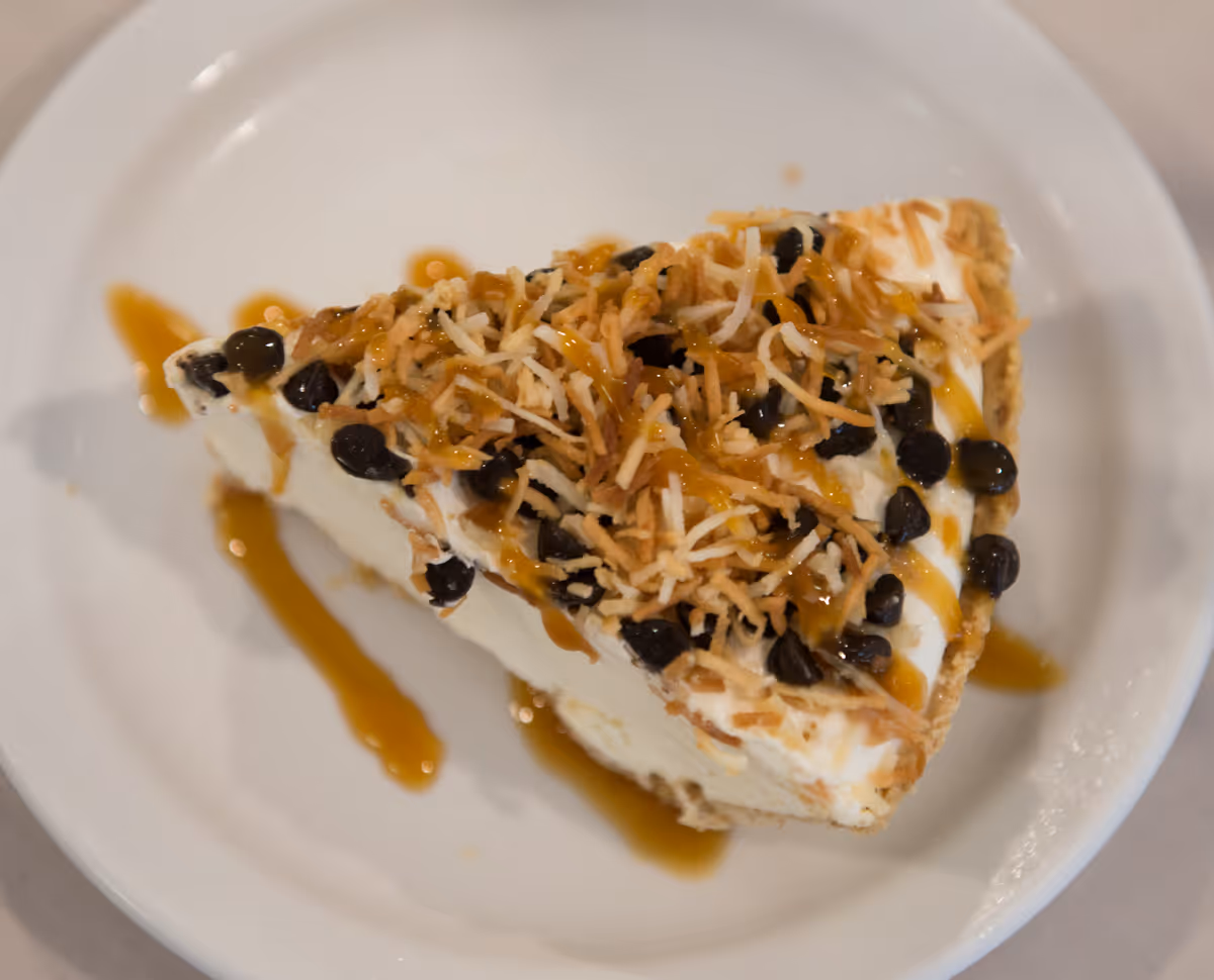 A slice of creamy dessert topped with toasted coconut flakes, chocolate chips, and drizzled caramel sauce on a white plate.