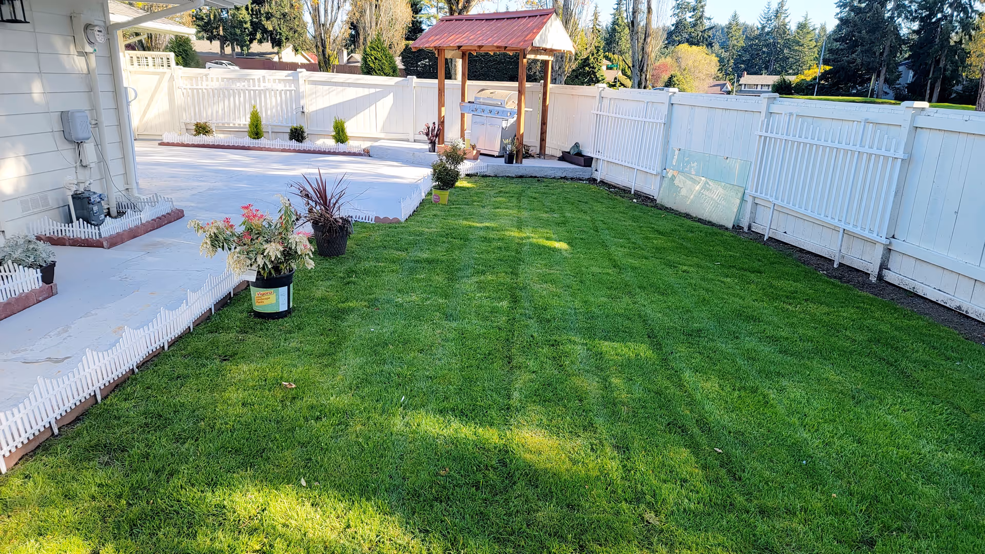 A backyard area with a well-maintained green lawn, several potted plants along the edge, a white fence surrounding the yard, and a covered outdoor grill station with a red roof in the background.
