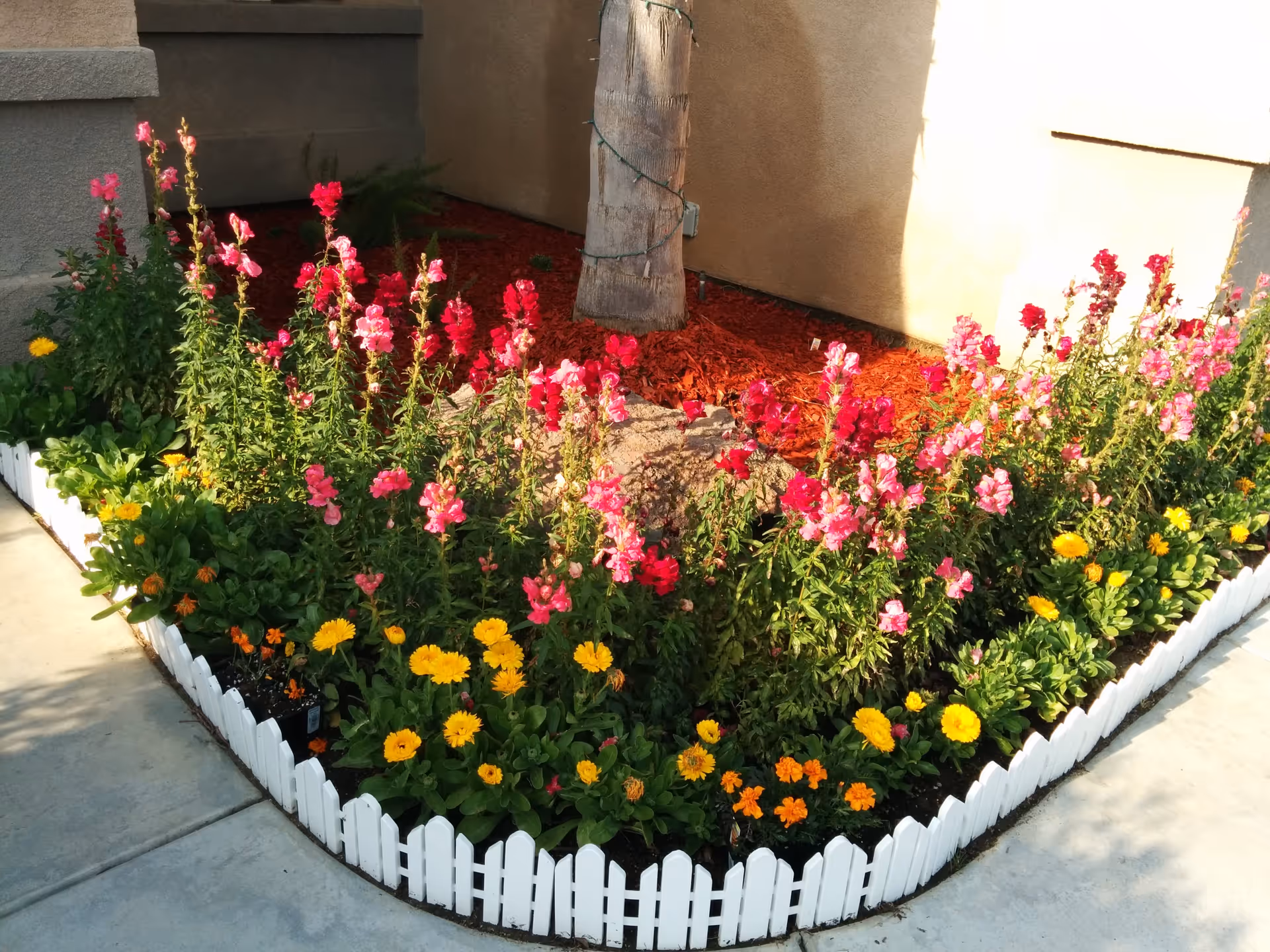 A small garden bed bordered by a white picket fence with blooming pink, red, yellow, and orange flowers. A tree trunk wrapped with string lights is in the center, and the garden is next to a beige building wall with a concrete sidewalk surrounding it.