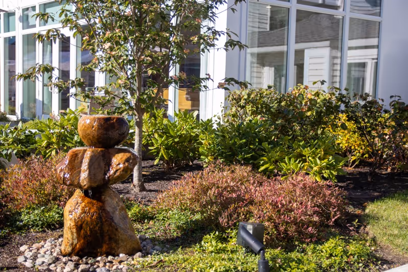 A small outdoor garden area with a decorative stone water fountain surrounded by various green and reddish shrubs, with a building featuring large windows in the background.
