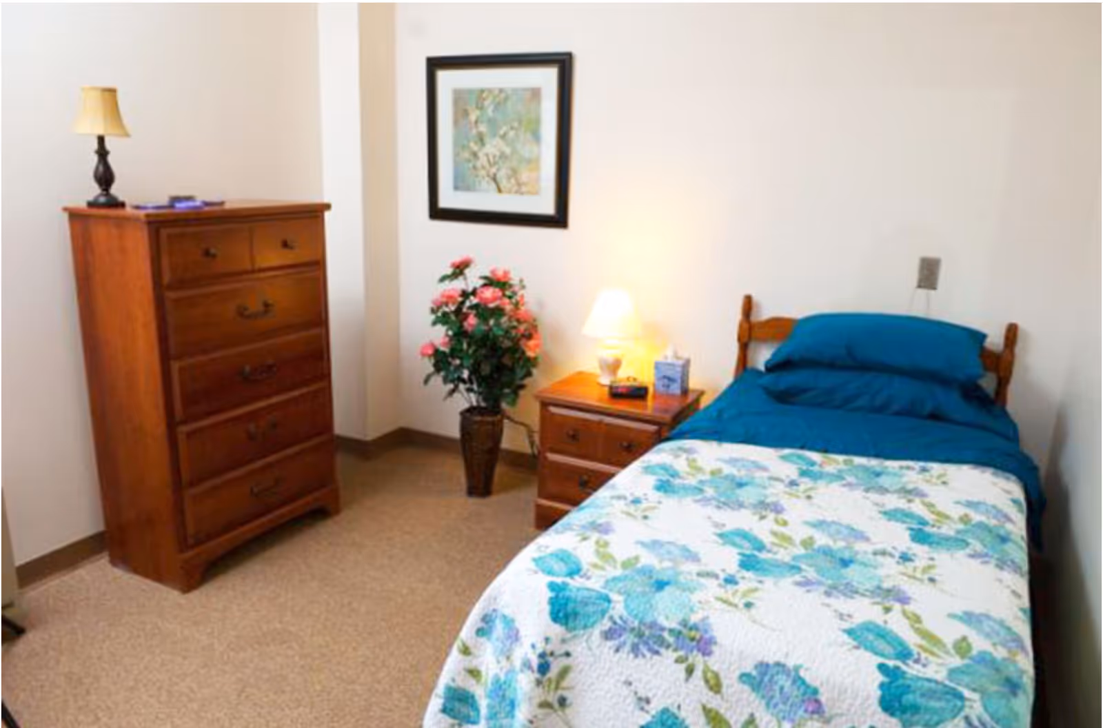 Single-occupancy bedroom with a floral bedspread, wooden headboard, nightstand and tall dresser, plus a framed picture and potted plant.