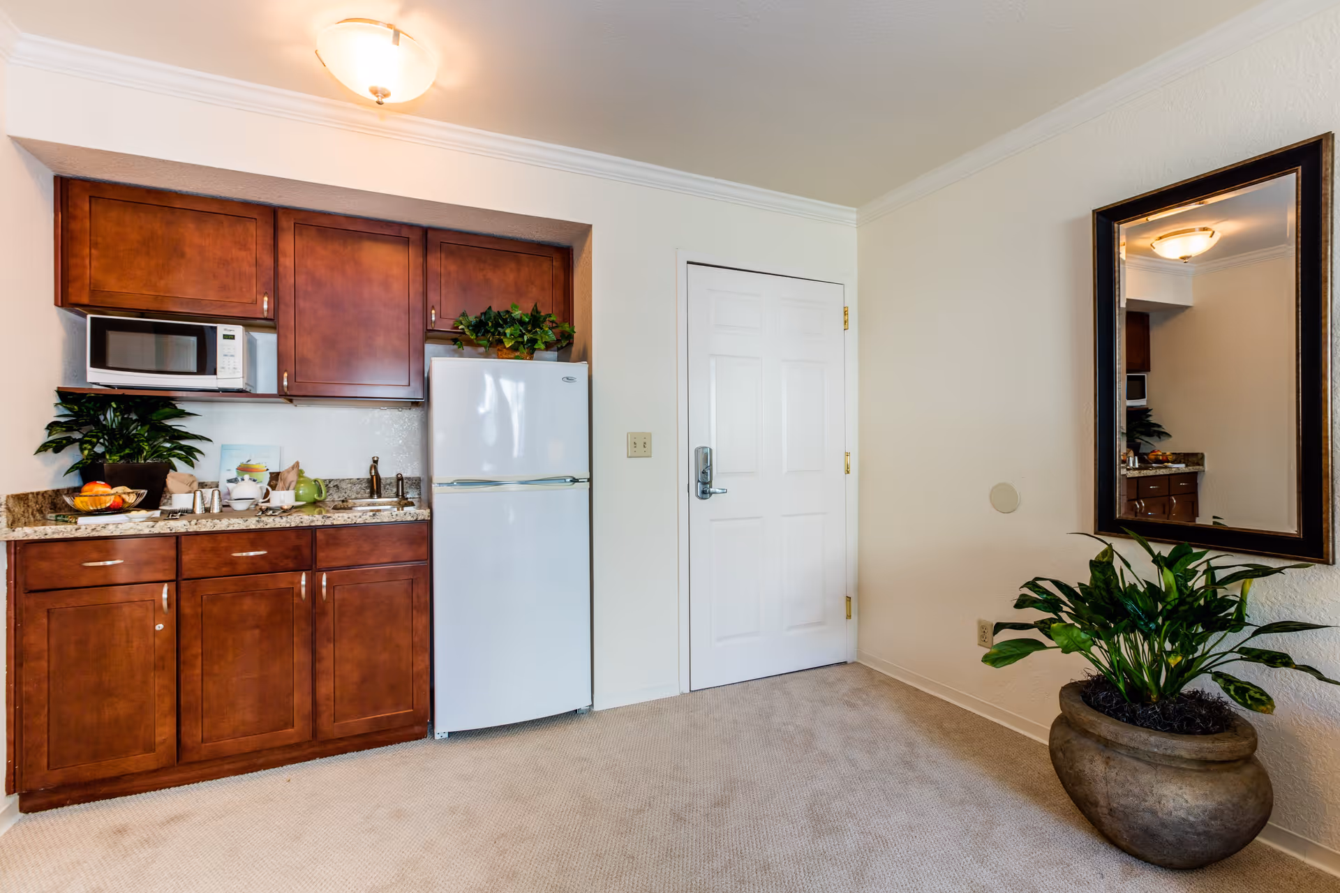 Interior view of a small kitchen area with wooden cabinets, a white refrigerator, a microwave, and a granite countertop with a sink. There are plants on the countertop and in a large pot on the carpeted floor. A large mirror hangs on the wall next to a white door with a security lock.