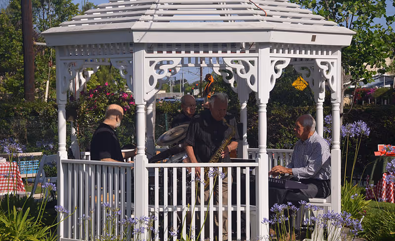 Four elderly men playing musical instruments inside a white wooden gazebo surrounded by greenery and purple flowers on a sunny day.