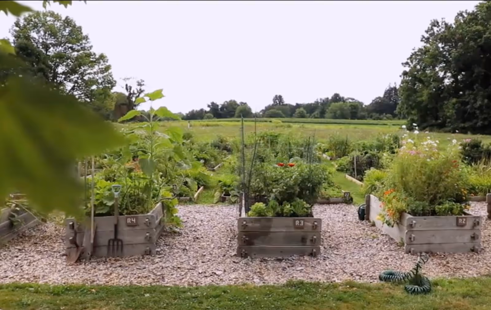 Raised garden beds filled with various green plants and flowers in an outdoor garden area with trees and open fields in the background.