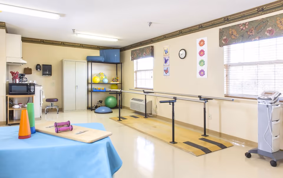 Therapy room with parallel walking bars, exercise balls and equipment, and a table holding cones and small weights.