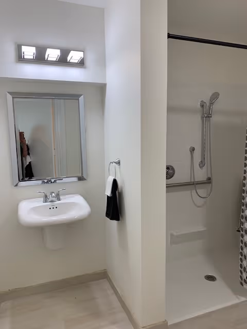 Accessible bathroom with a wall-mounted sink and mirror next to a shower stall with a grab bar and handheld showerhead.