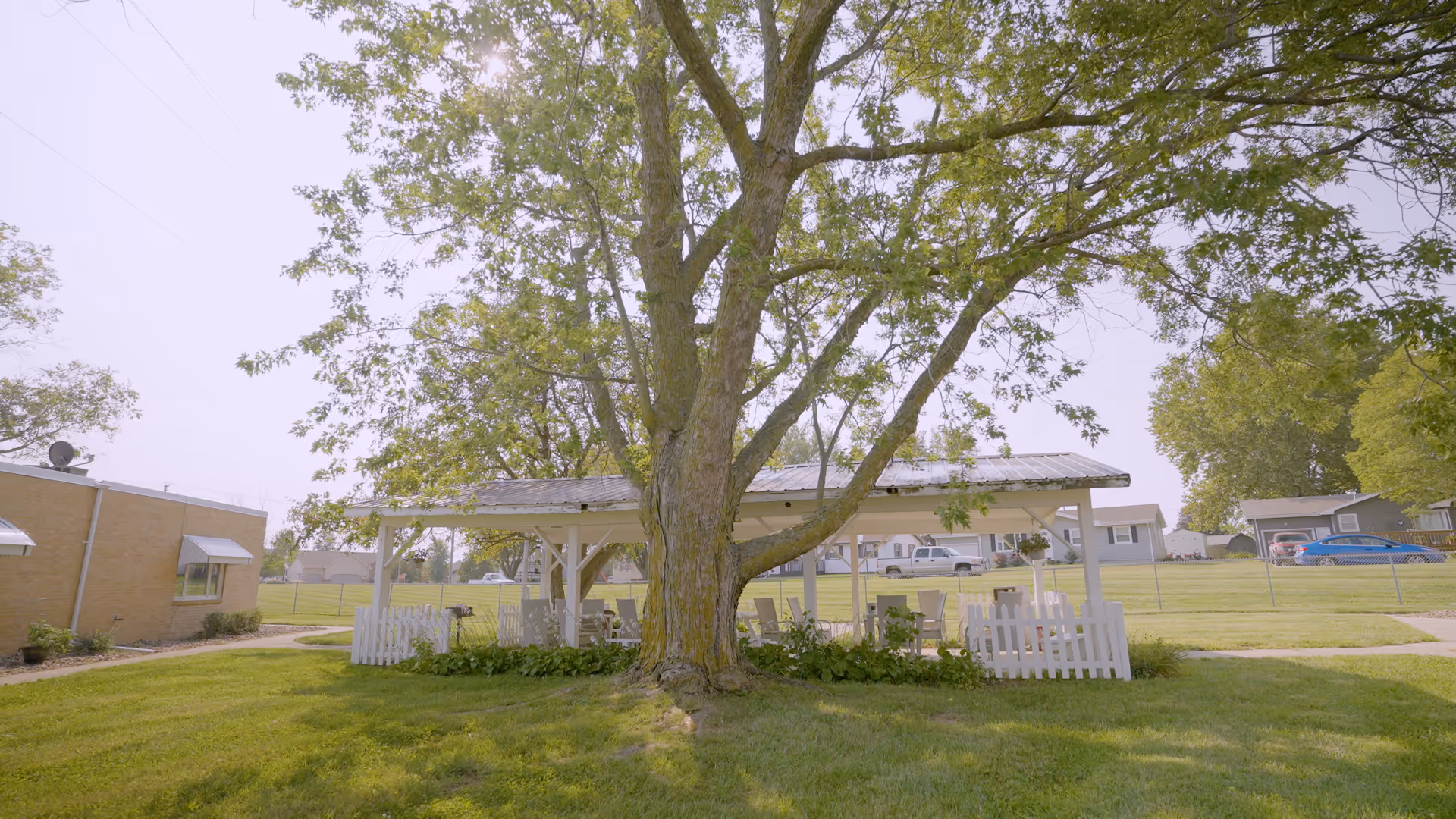 A large tree with green leaves stands in the center of a grassy area in front of a white gazebo with a metal roof and white picket fencing. In the background, there are residential houses, a brick building with awnings, and a fenced yard under a clear sky.