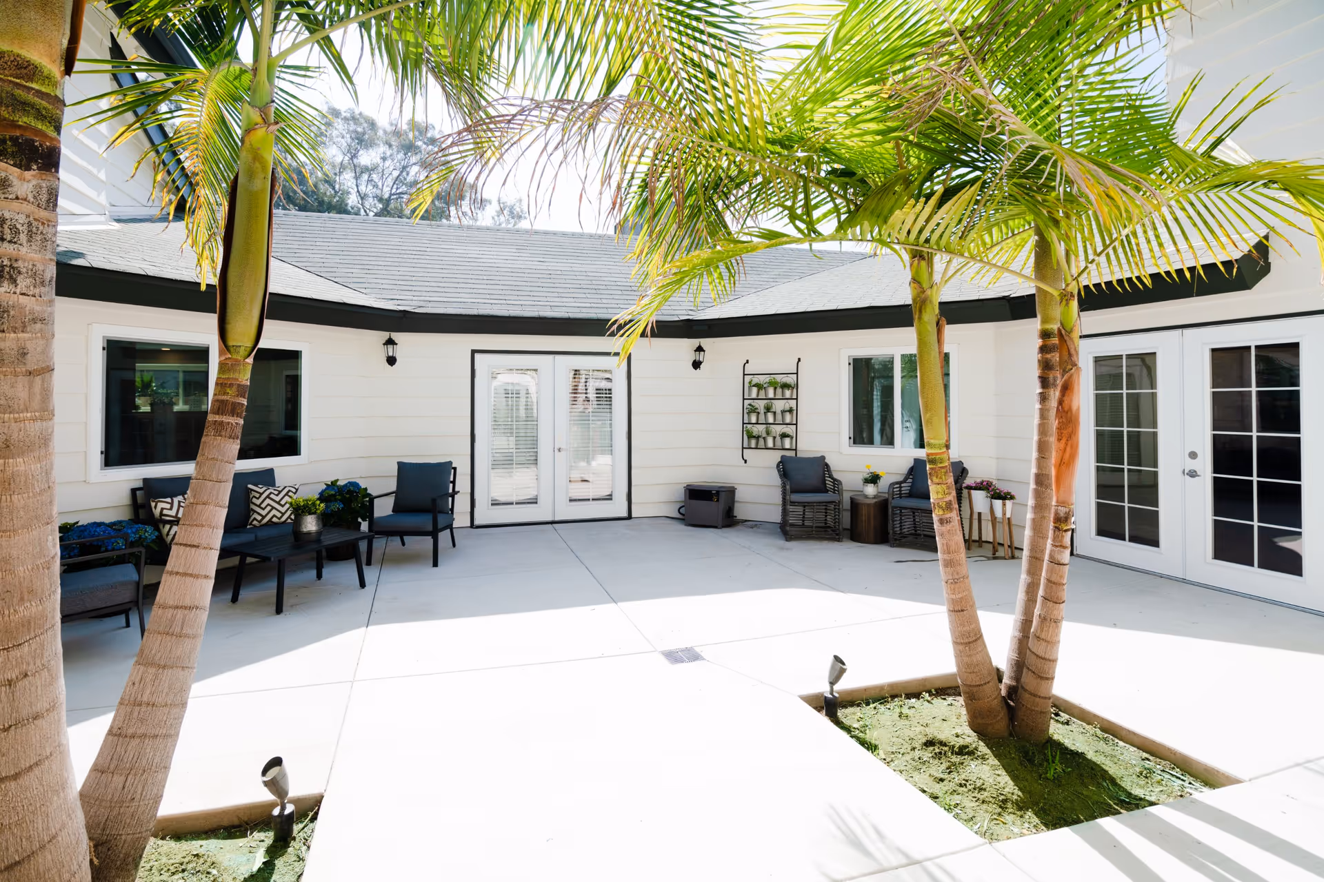 Bright outdoor courtyard with palm trees, patio seating, and multiple French doors leading into the building.