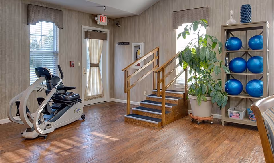 Well-lit interior exercise room with a recumbent bike, a small practice staircase, shelving of blue exercise balls, and a large potted plant.