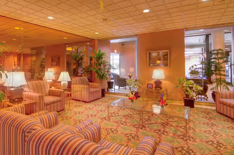A cozy living room area with striped upholstered armchairs and sofas arranged around a glass coffee table with floral centerpieces. The room features warm lighting from table lamps, potted plants, framed artwork on the walls, and large windows letting in natural light.