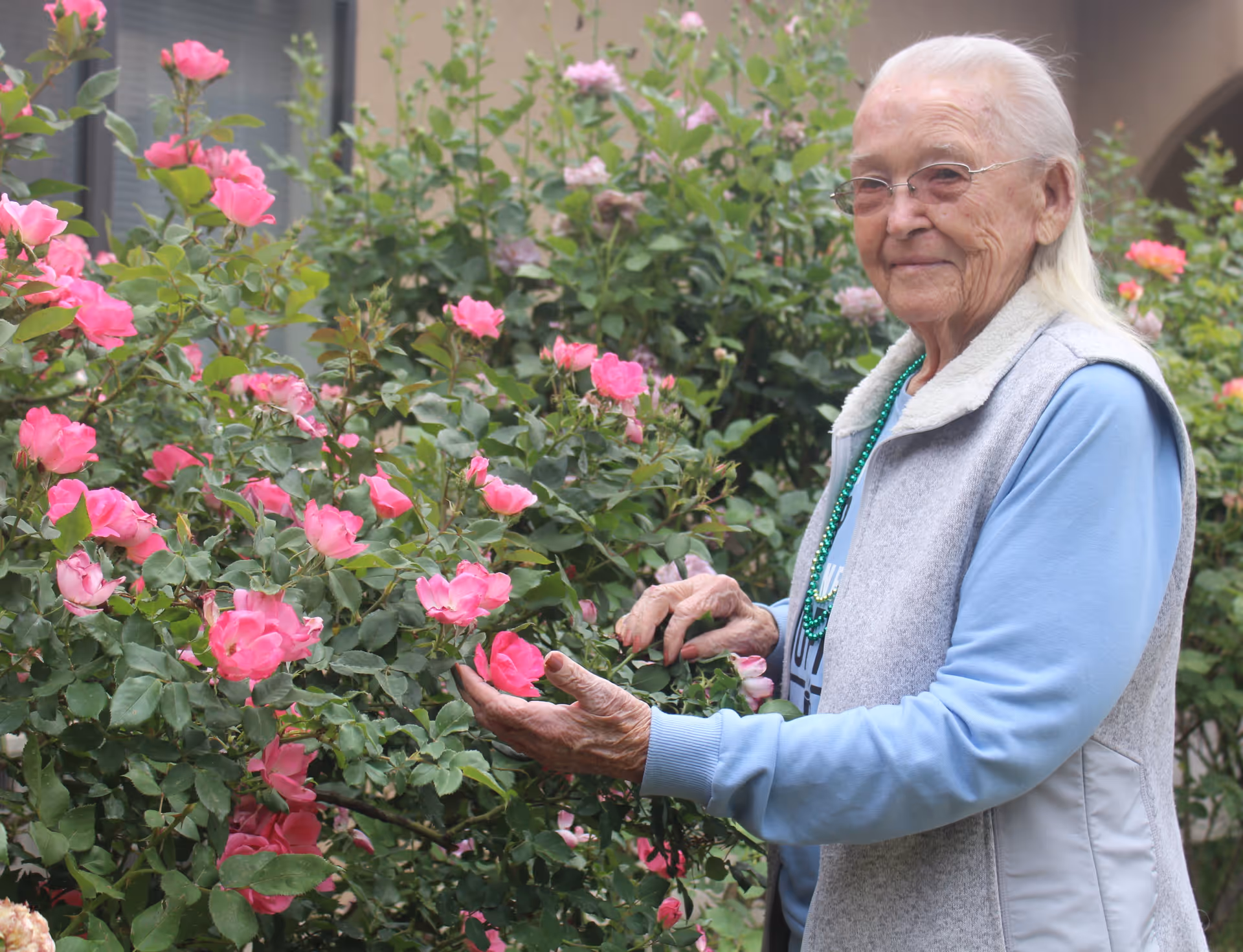 An elderly woman with white hair and glasses is standing outdoors among blooming pink rose bushes. She is wearing a light blue long-sleeve shirt, a gray vest, and a green beaded necklace, gently touching the flowers and smiling.