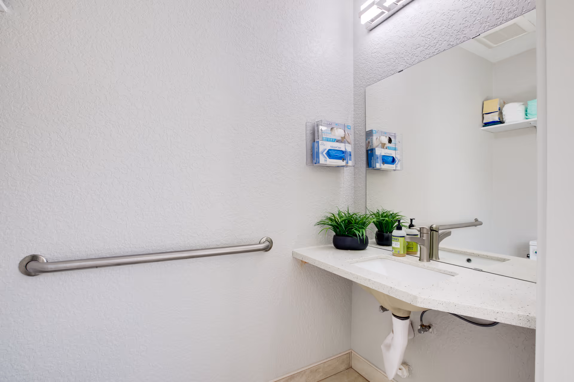 Accessible bathroom sink area with a wall-mounted grab bar, countertop sink, mirror, soap dispenser and small potted plants.