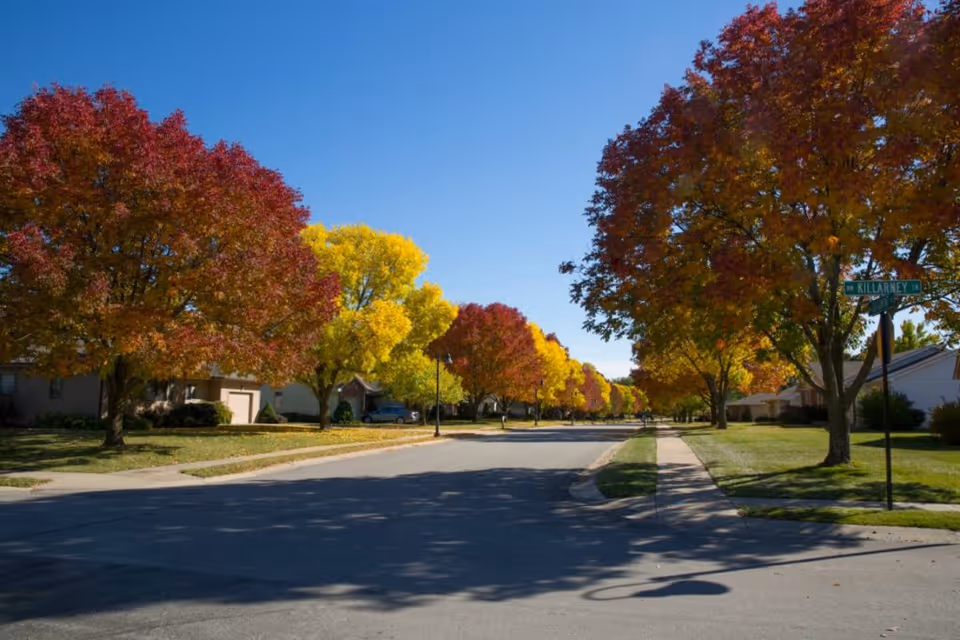 Residential street lined with colorful autumn trees under a clear blue sky.