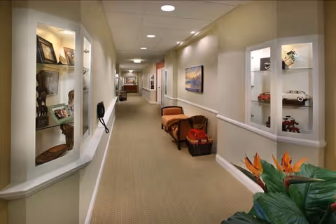 A well-lit hallway in a senior living facility with beige walls and carpeted floor. The hallway features built-in display shelves with decorative items, a bench with cushions, framed artwork on the walls, and a plant with orange flowers in the foreground.